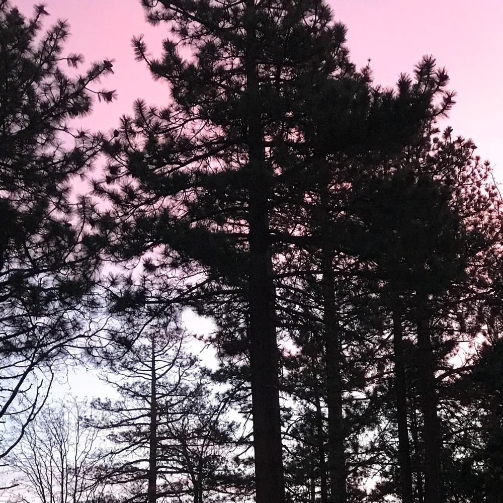 Meet your Posher, Zainab